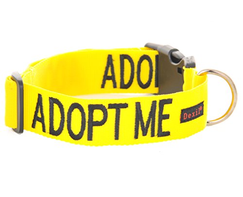 Friendly Dog Collars- Adopt Me Large-XL Snap Collar