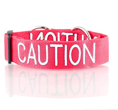 Friendly Dog Collars- Caution Semi-Choke Collar 18-28" x 1.5"