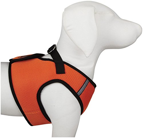 WD Sidekick Harness - Orange, Medium