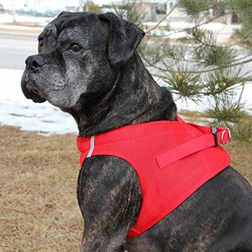 CHOKE FREE REFLECTIVE STEP IN ULTRA HARNESS &#x2605; RED &#x2605; ALL SIZES &#x2605; AMERICAN RIVER (XL)