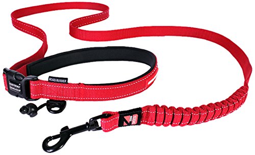 Road Runner Leash, Red