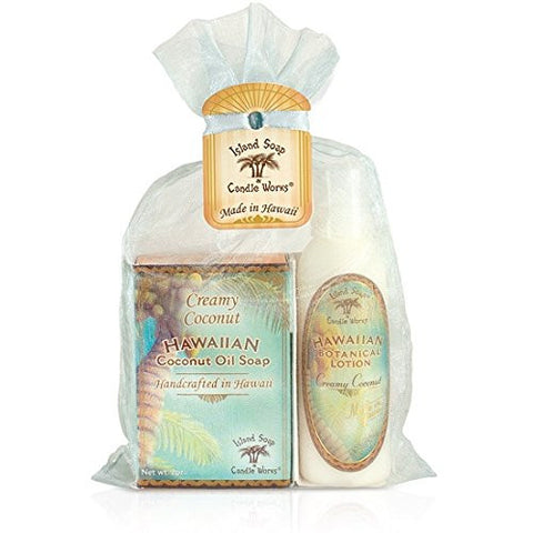 Creamy Coconut Organza Gift Bag