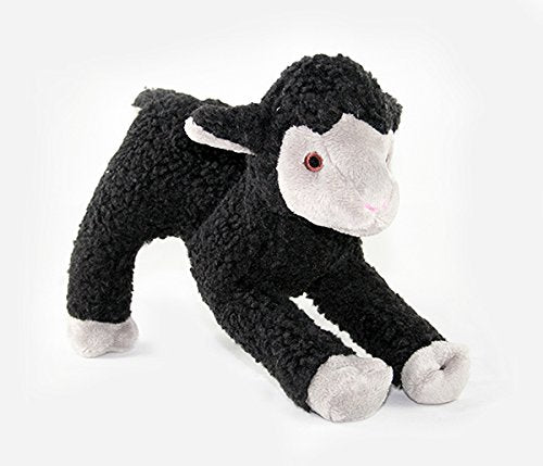 Mary Lamb, 9" berber