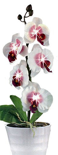 LED ORCHID LIGHT