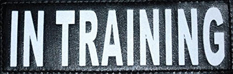 Reflective Removable Patch "IN TRAINING" S/M (set of 2)
