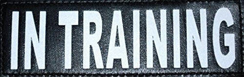 Reflective Removable Patch "IN TRAINING" L/XL (set of 2)