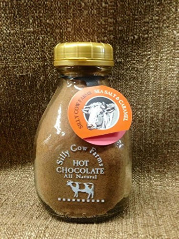 Chocolate Seasalt Caramel Hot Cocoa, 16.9 oz