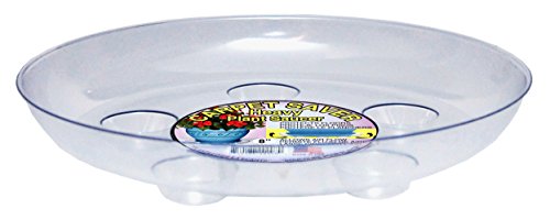 CW DS-800 8" CARPET SAVER, 8"