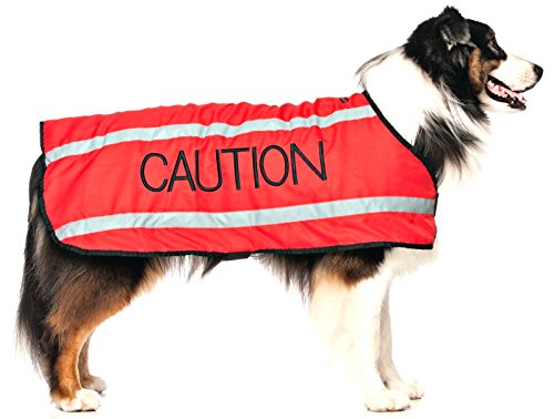 Friendly Dog Collars- Caution Medium-Large Coat
