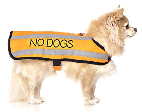 Friendly Dog Collars- No Dogs Small-Medium Coat