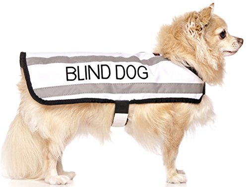 Friendly Dog Collars- Blind Dog Small-Medium Coat
