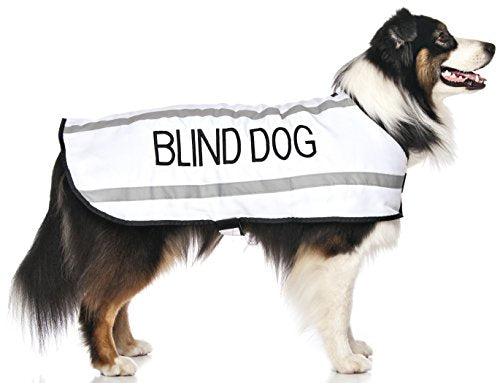 Friendly Dog Collars- Blind Dog Medium-Large Coat