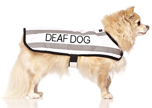 Friendly Dog Collars- Deaf Dog Small-Medium Coat