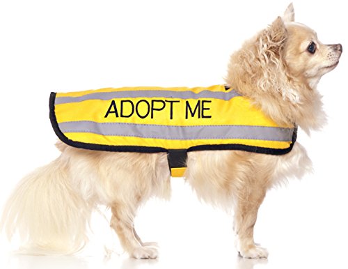 Friendly Dog Collars- Adopt Me Small-Medium Coat