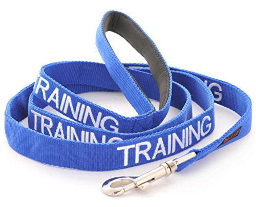Friendly Dog Collars- Training Long Length 6ft Lead