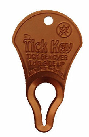 Tick Key - Gold