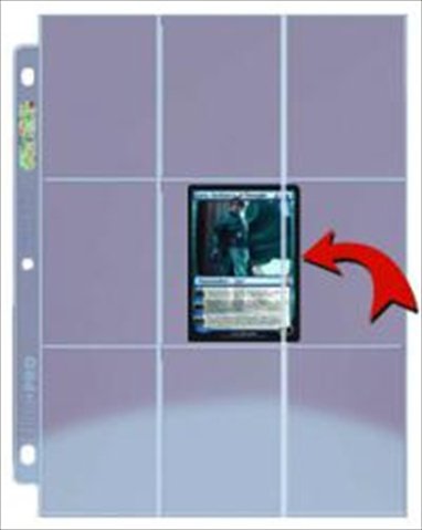 9-Pocket Platinum Side Load Page with Clear Background