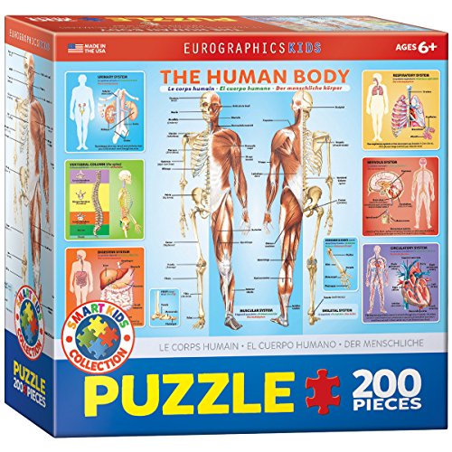 The Human Body 200 pc