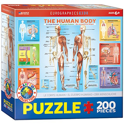 The Human Body 200 pc