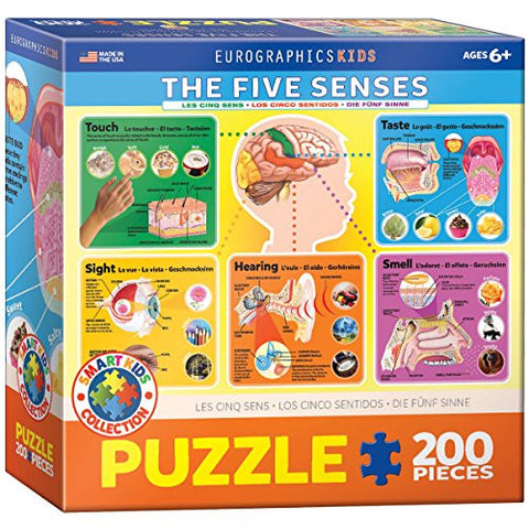 The Five Senses 200 pc