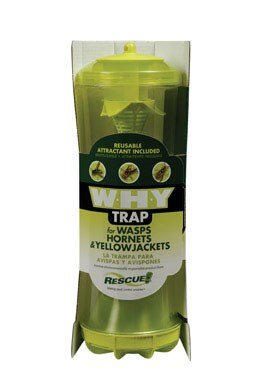 STERLING WHYTR-BB8 WHY TRAP BULK BOX