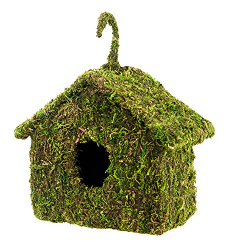 Mossy Hide Deco Maison, Green 7x7 Inch