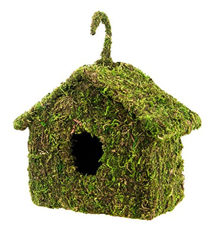 Mossy Hide Deco Maison, Green 7x7 Inch