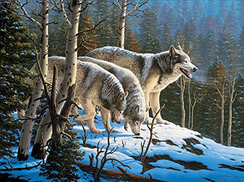 Ceaco 1000 Piece Wolves Assortment, Wildlife