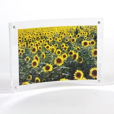 Curved Magnet Frame - Clear, 5" x 7"