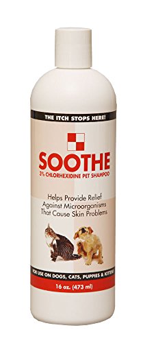 Showseason Soothe Shampoo, 16oz