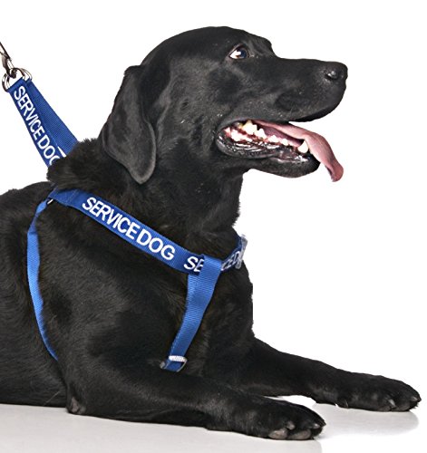 Friendly Dog Collars- Service Dog Strap Harness 23"-36"