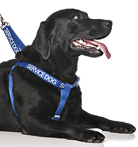 Friendly Dog Collars- Service Dog Strap Harness 23"-36"