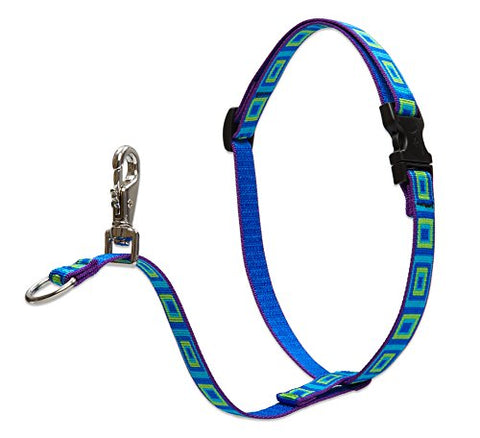 Lupine 3/4" Originals Collection - Sea Glass, 16"-26" No-Pull Harness