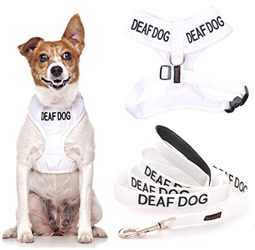 Friendly Dog Collars- Deaf Dog Long Length 6ft Lead and
Friendly Dog Collars- Deaf Dog Small Vest Harness
