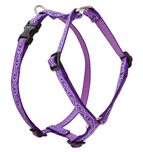 Lupine 1/2" Originals Collection - Jelly Roll, 9"-14" Roman Harness