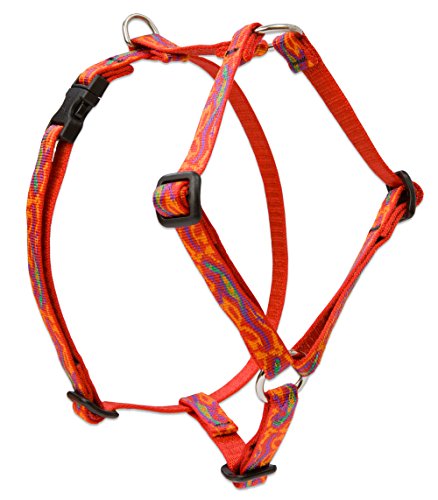 Lupine 1/2" Originals Collection - Go Go Gecko, 9"-14" Roman Harness