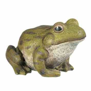 Frog Hide-A-Key