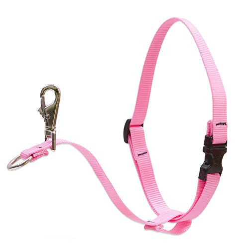 Lupine 1" Basics Collection - Pink, 26"-38" No Pull Harness