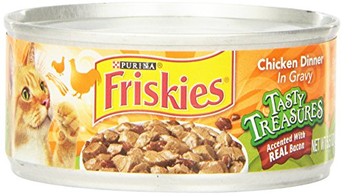 Friskies Tasty Treasure Chicken with Bacon 5.5 oz