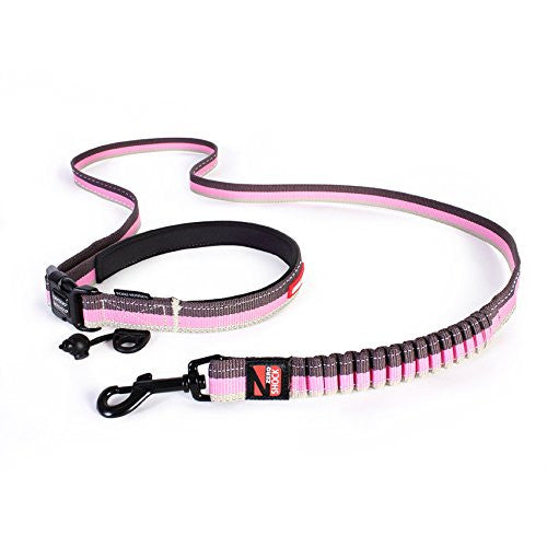 EzyDog Road Runner Leash - Candy