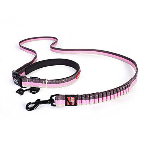 EzyDog Road Runner Leash - Candy