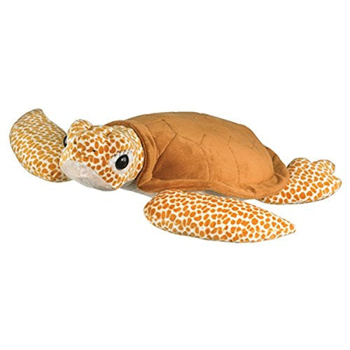 Loggerhead Turtle 24"