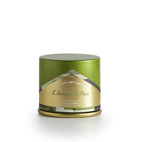 Chanterelle Moss Demi Vanity Tin