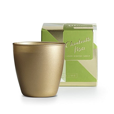 Chanterelle Moss Demi Boxed Glass