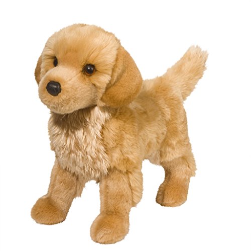 King Golden Retriever, Standing