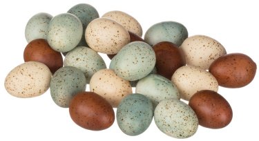EGGS X24 POLY BAG BL BR MX