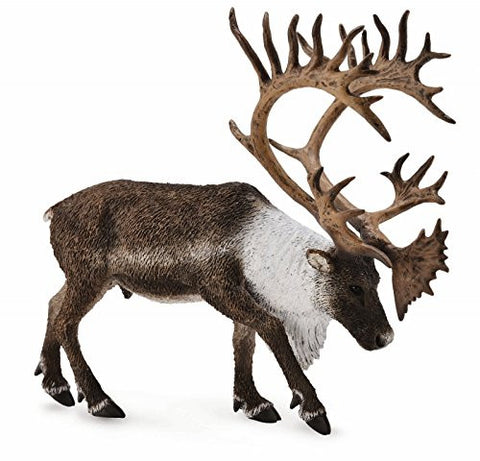 Woodland Caribou, XL