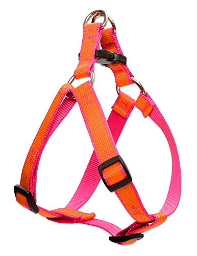 Lupine 3/4" Club Collection - Sunset Orange, 15"-21" Step-In Harness