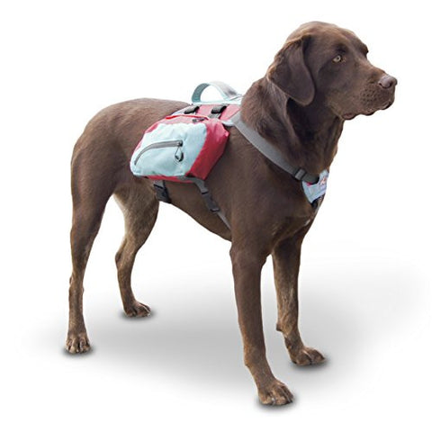 Baxter Pack - Regular, Coral/Sea Glass