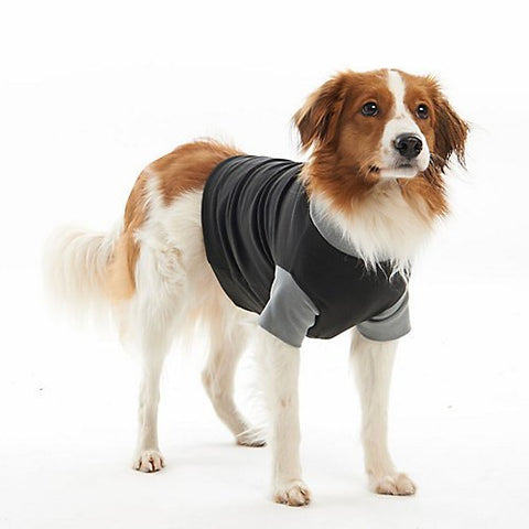 Kruuse Buster Body Suit for Dogs, Black/Grey - 19", Size Medium